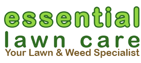 Essential Lawn Care Services